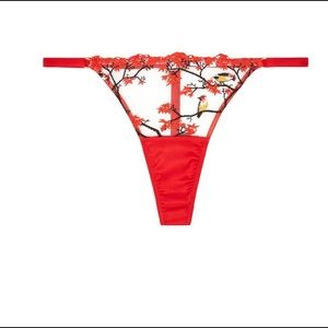 Delicate embroidered Studio Pia thong small